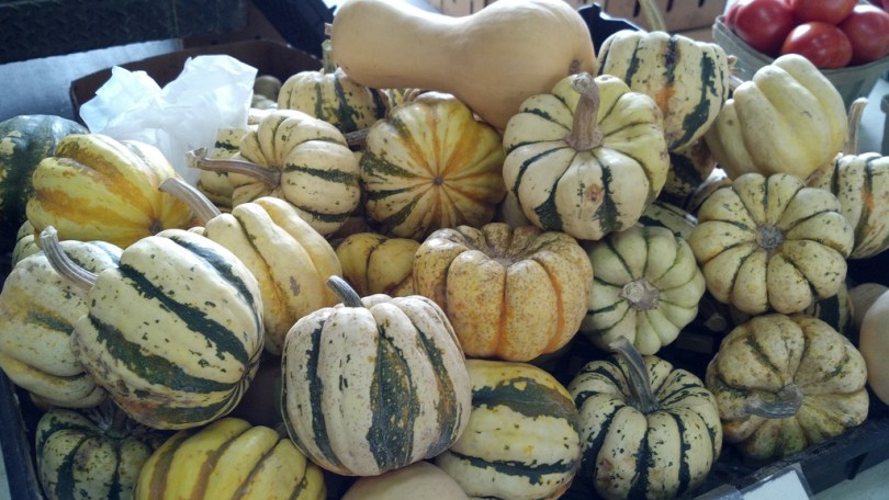 gourds