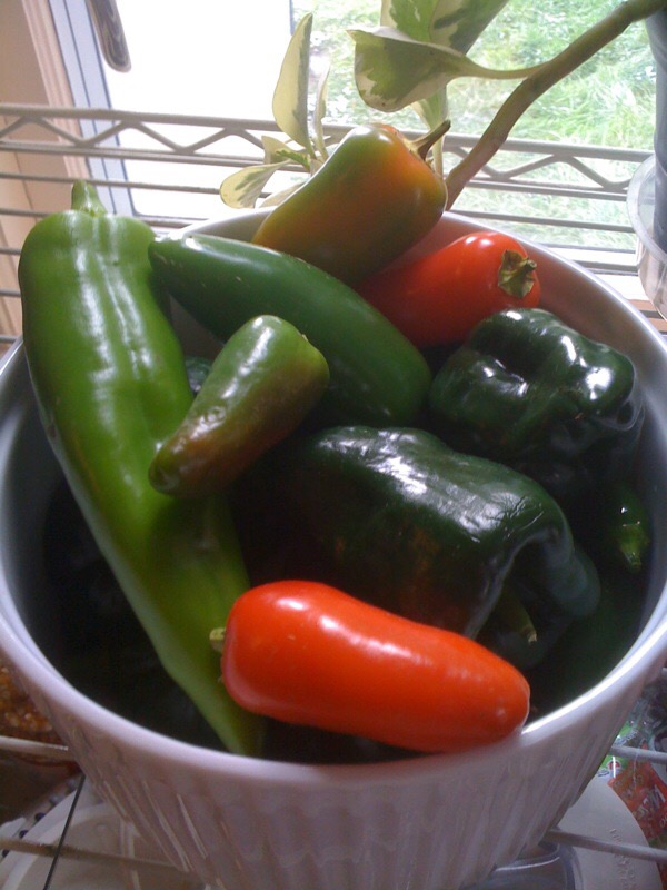 peppers, mostly sweet