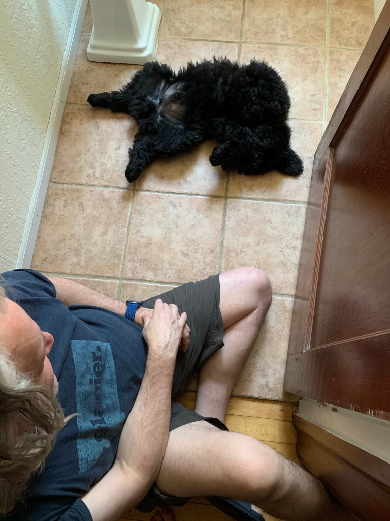 Man and dog on tile floor