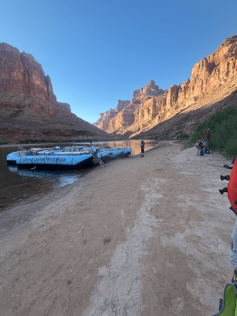 pontoon boats on Colorado River near mouth of Little Colorado River, with blue sky

